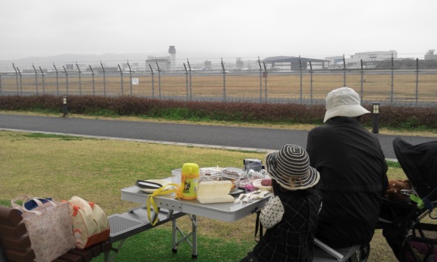 雨上がりの伊丹スカイパーク