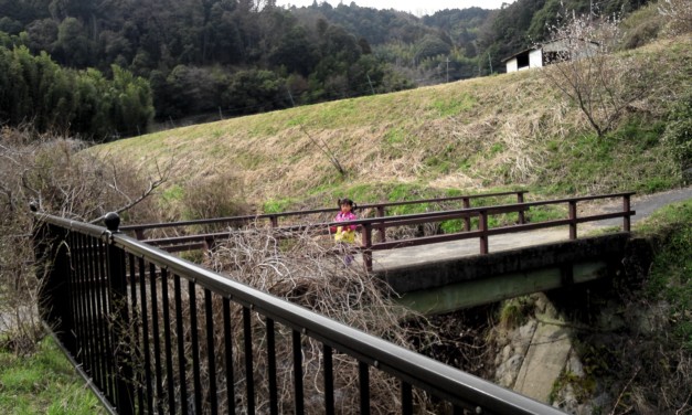 春の訪れと共に変わってしまうもの、変わらないもの