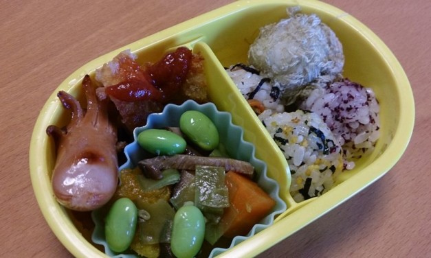 はじめてのおべんとう