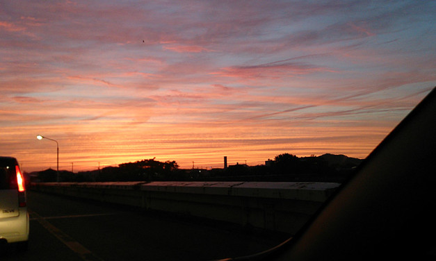 2013年のリーゼント（整髪料）事情