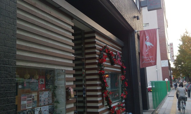 長男が無事に1歳に！そしてフラミンゴ・ジ・アルーシャに初出演