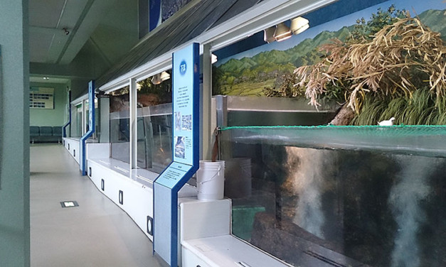 あくあぴあ芥川（芥川緑地資料館）に行ってきました