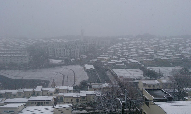 「お父さん、ニコニコして！」 – 暴れ回る2匹の怪獣