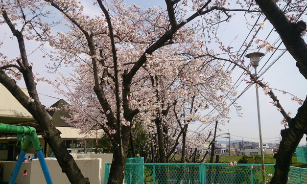 春の訪れ、新しい生活のスタート