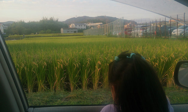 子供達の安全は我々大人達にかかっている