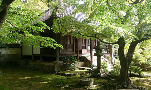 大門寺に迷い込んだ朝