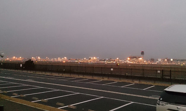 久しぶりに伊丹スカイパークへ