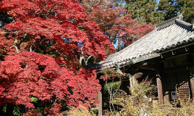 大門寺は朱に染まってました