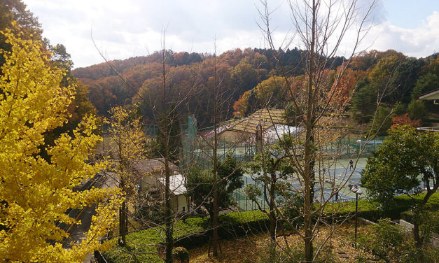忍頂寺スポーツ公園にて
