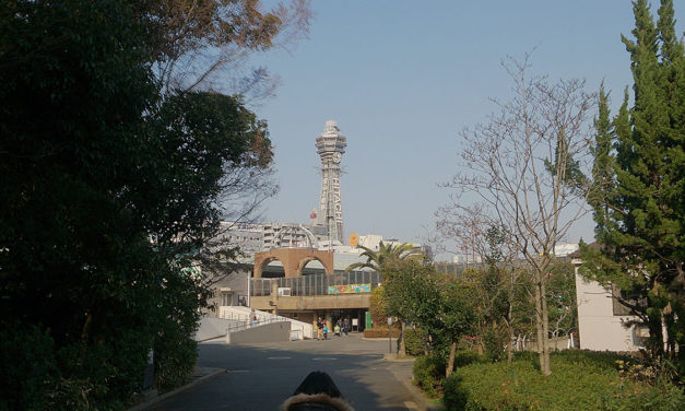 冬の散歩道～動物園にて