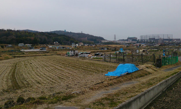 衰えと向き合って過ごす決意とは