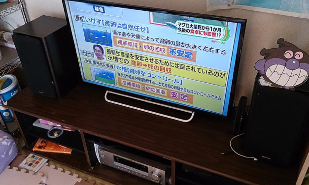 液晶テレビがやってきた！
