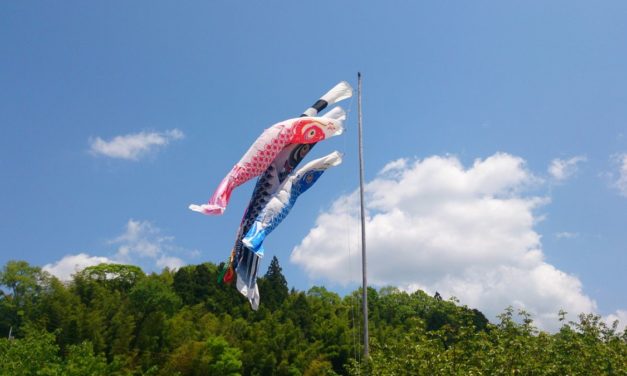 胃腸炎より回復 – 遅れてきたゴールデンウィーク