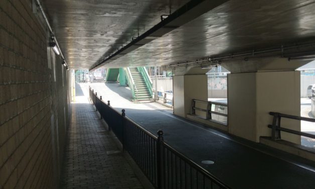 腰痛、そして4年ぶりの健康診断のために歩いた日