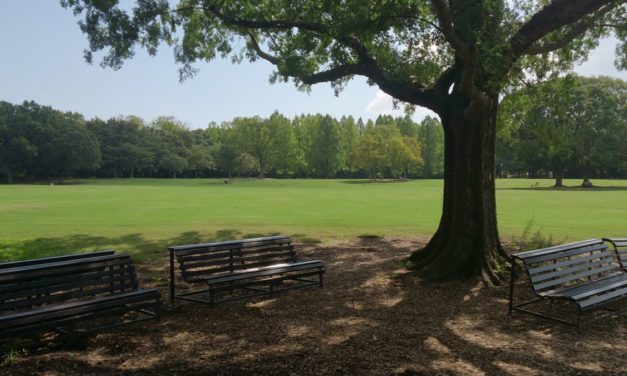 2015初秋の万博記念公園を歩く