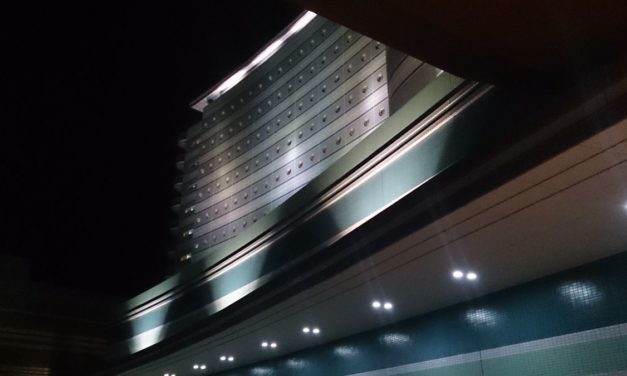 完全に蘇ったデヴィルちゃん ― 琵琶湖ホテルでの演奏