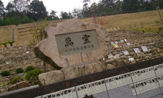 愛猫が空に帰ってから4年 ― あの夏、1991年