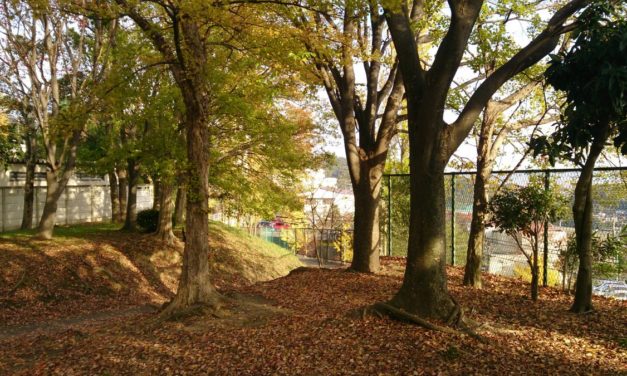 秋の風景 ― 子守ミッション発生