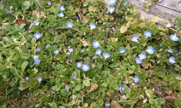 一瞬にして訪れる死について考える