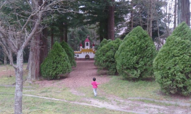 春、桜、そしてお城 ― 亀岡運動公園