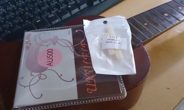 ウクレレ修復作業 ― いろんなペグがある事を知る