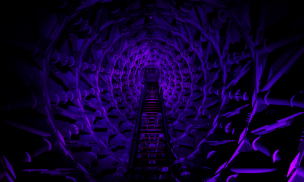 万博 ― 太陽の塔にようやく潜入した日