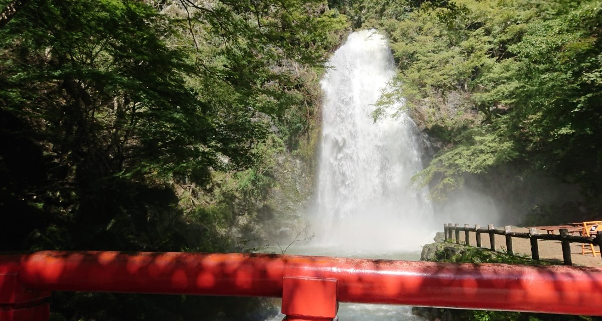 倒木 ― 7年ぶりの箕面の滝は台風の影響でエライ事に