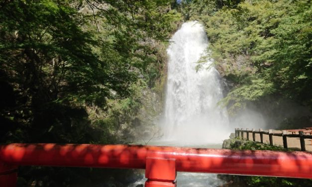 倒木 ― 7年ぶりの箕面の滝は台風の影響でエライ事に
