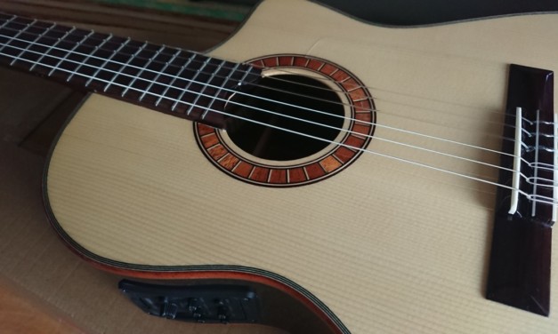 エレガットギター、Martinez MP-14 Roseを購入しました