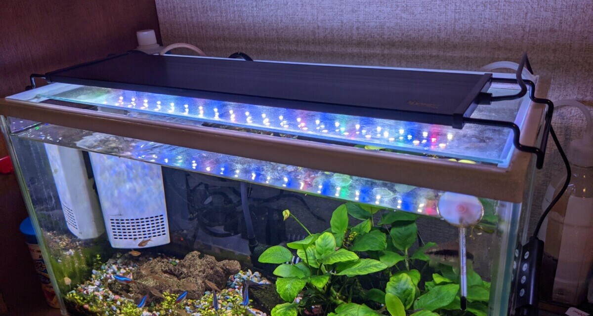 自動 ― アクアリウム用LEDライトをHygger社の物に変更しました