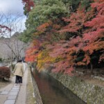 哲学 ― 紅葉シーズンの京都の街を歩く～南禅寺と銀閣寺