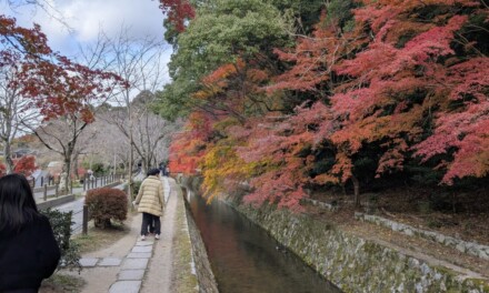 哲学 ― 紅葉シーズンの京都の街を歩く～南禅寺と銀閣寺