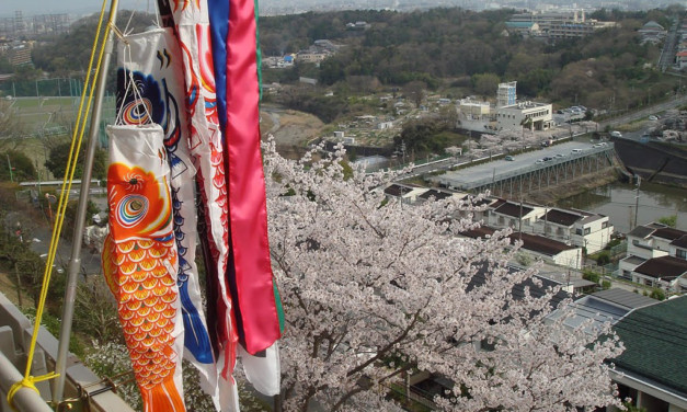 桜が咲き、その横にたなびく鯉のぼり