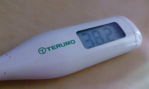 そしてやはり風邪 – インフルエンザ検査を初めて経験した日。