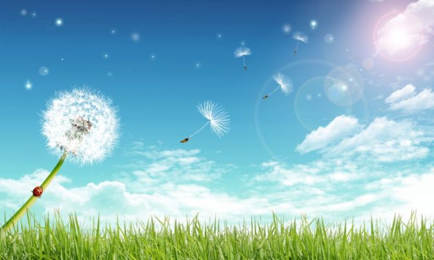 忙しい日常に吹いたやわらかい風