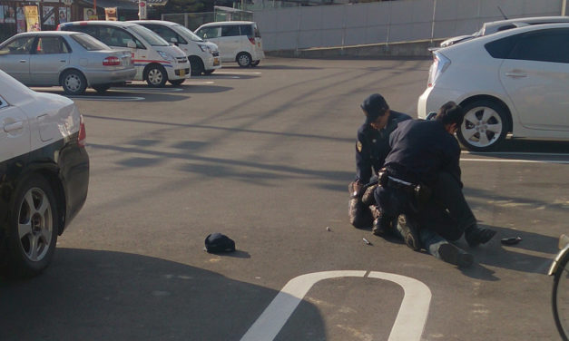 近所で見かけた逮捕劇