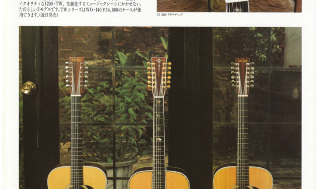 12弦ギターのボディが盛り上がる、というのを初めて見た